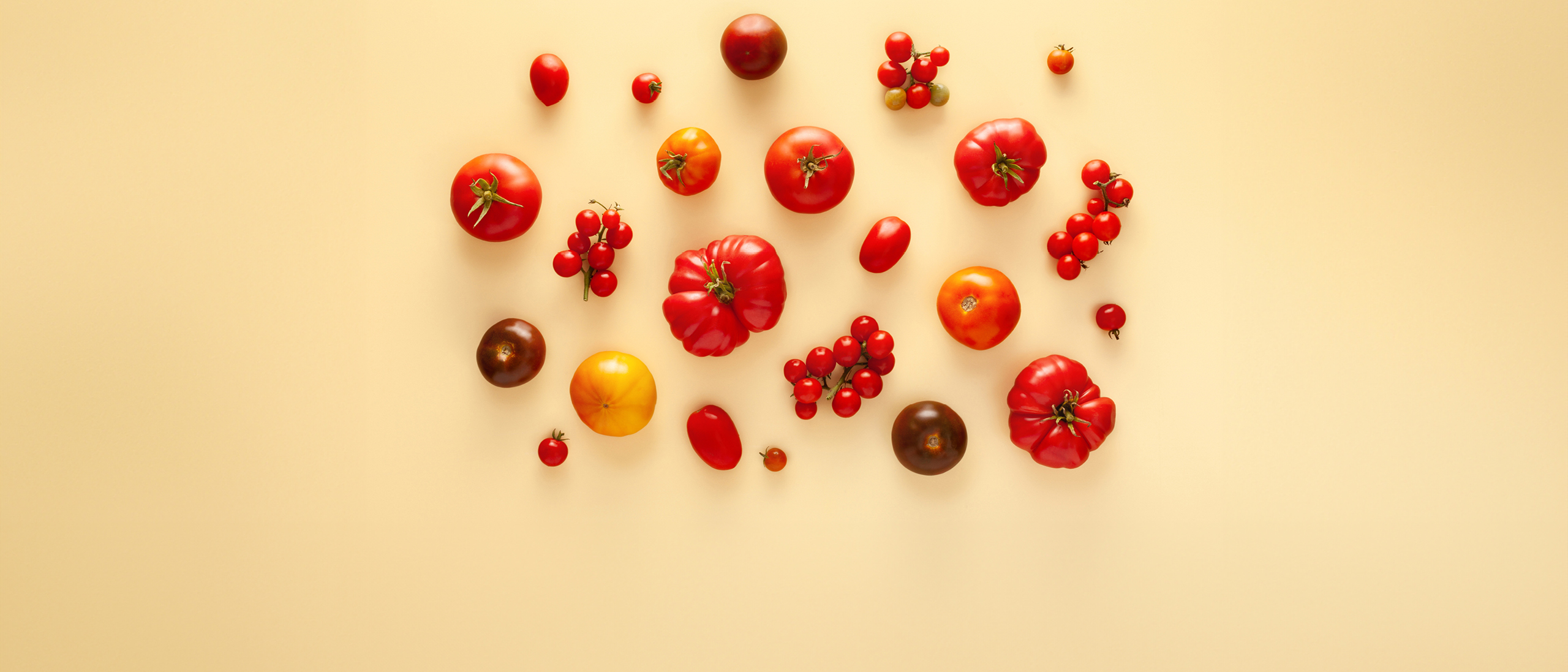The power of diversification: how to create and maintain a balanced portfolio 